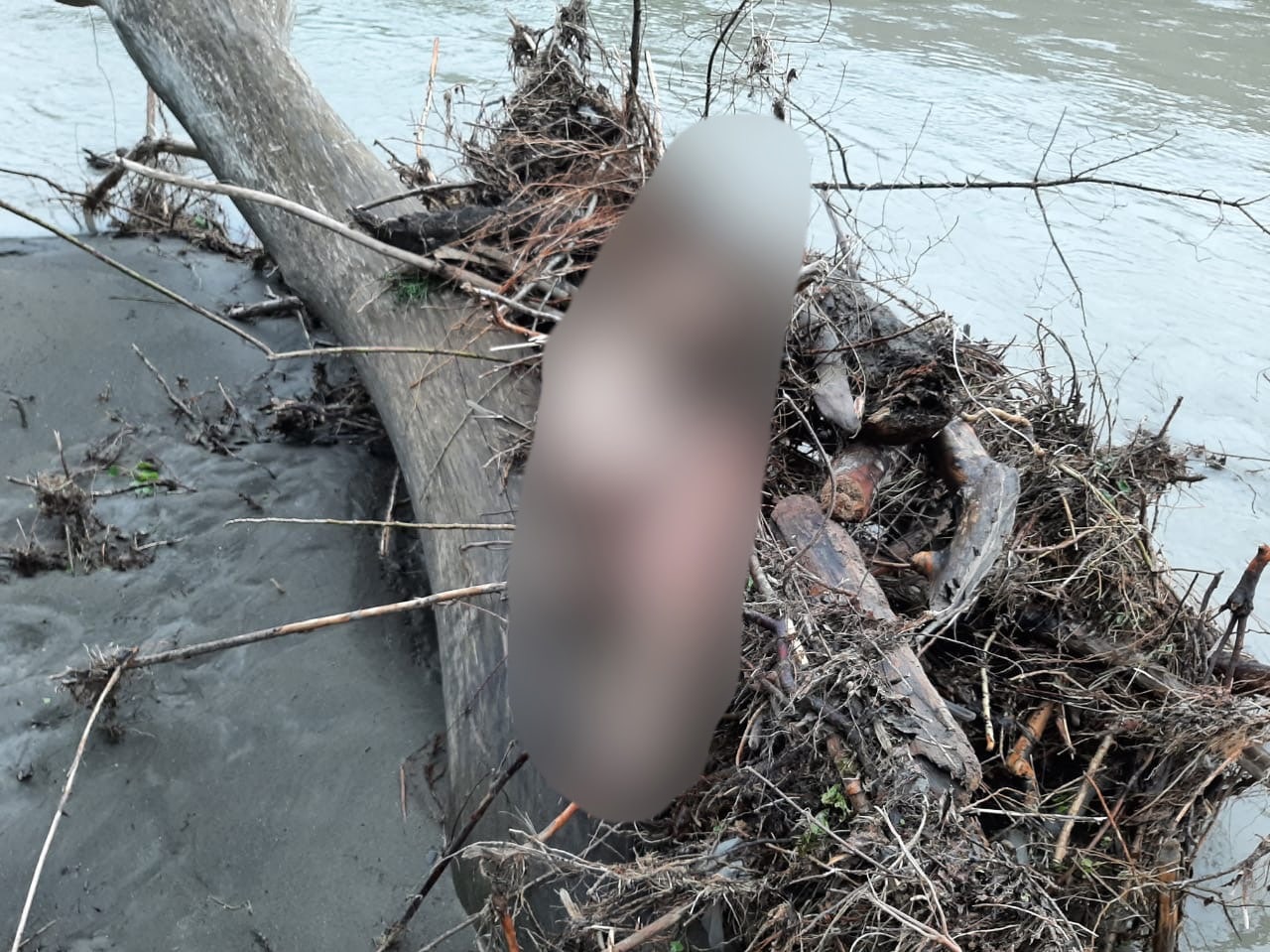 Найдено тело одного из унесенных течением реки Белая мужчин – 35149