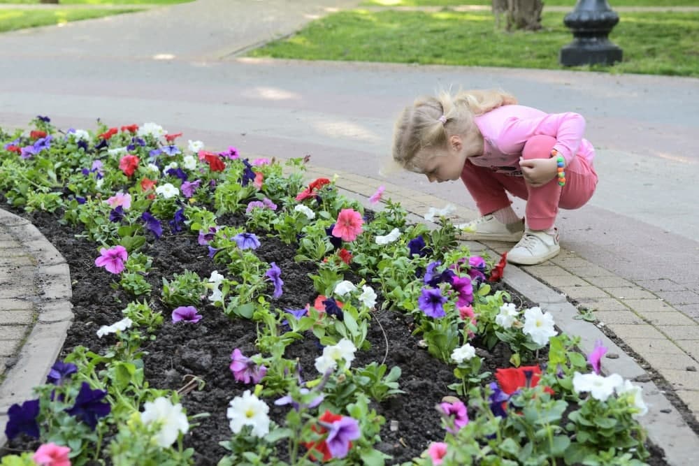 Начали высаживать цветы в парках и на бульварах Краснодара – 35252