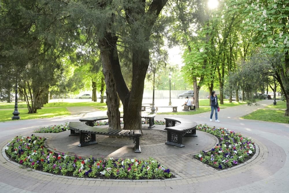 Начали высаживать цветы в парках и на бульварах Краснодара – 35253
