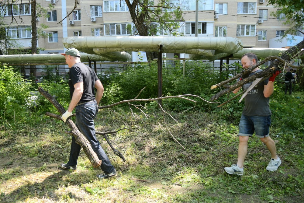 На Зиповской в районе Чистяковской рощи появится новая зеленая зона – 35282