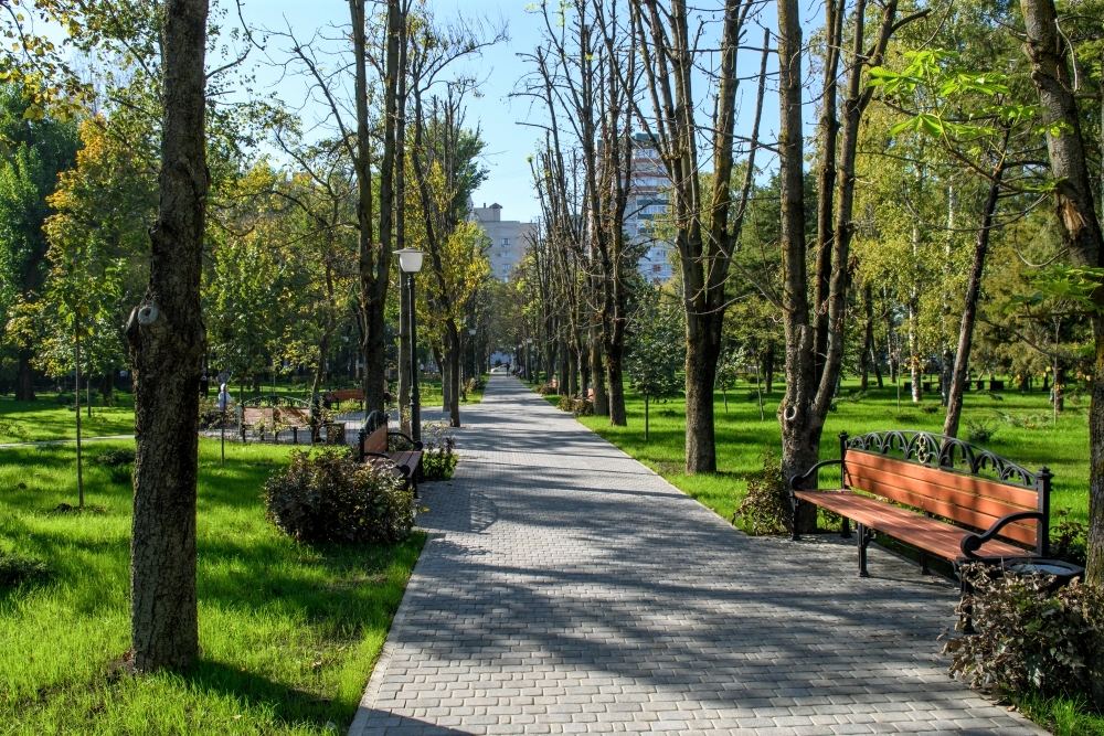 Что нужно, чтобы в вашем районе уже в следующем году появилась благоустроенная зеленая зона? – 35378