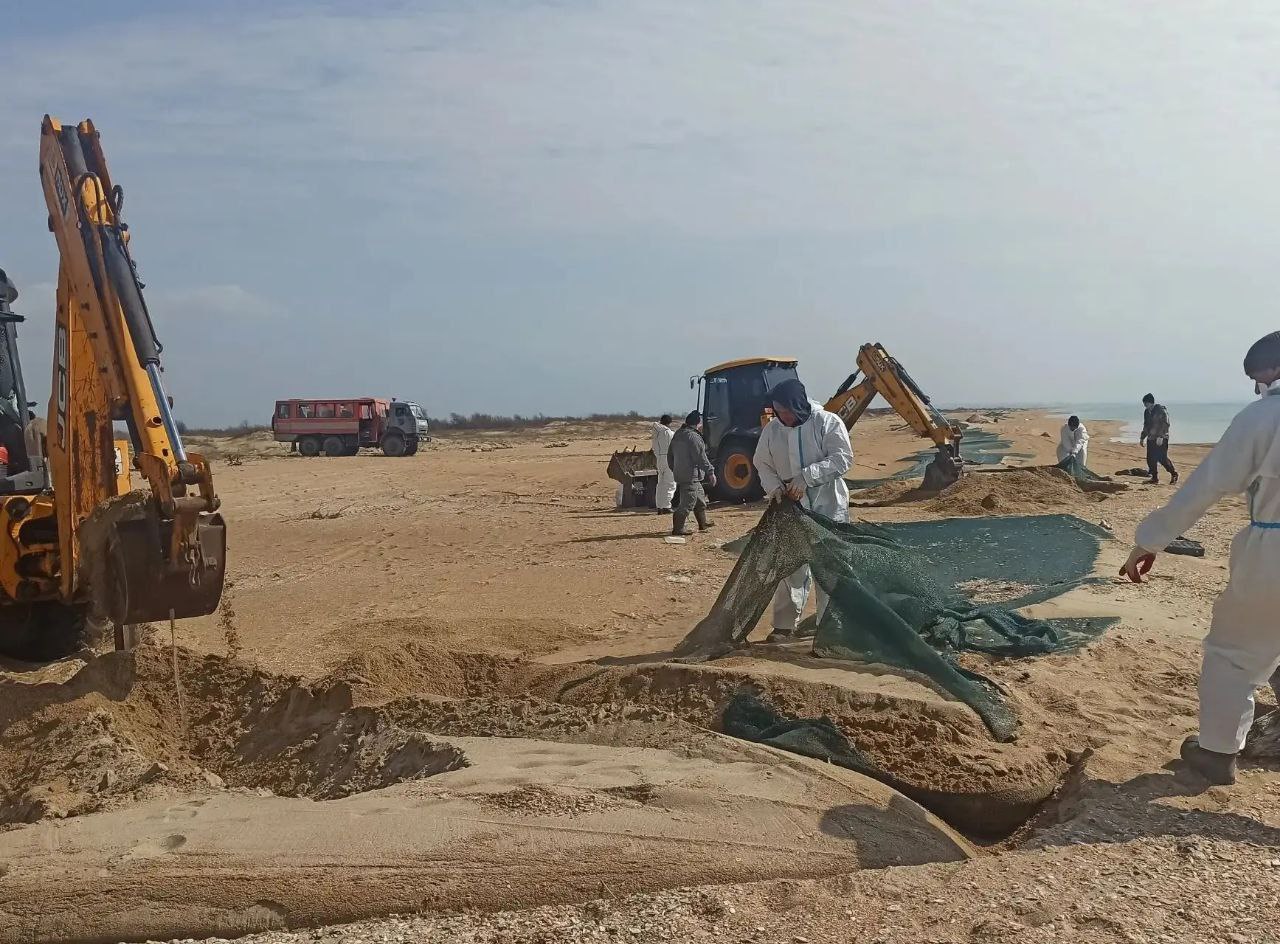 На побережье Анапы завершают уборку сетей с защитного вала