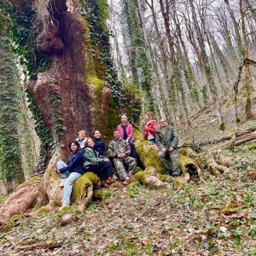 Царь-дуб — один из главных старожилов Сочинского национального парка