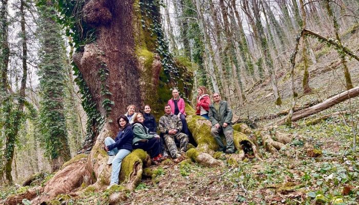 Царь-дуб — один из главных старожилов Сочинского национального парка