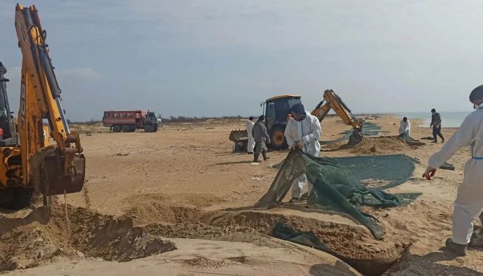 На побережье Анапы завершают уборку сетей с защитного вала