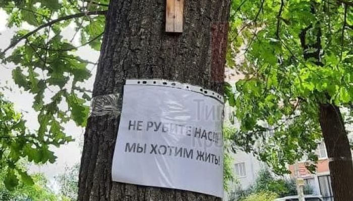 На Яцкова рубят аллею дубов, жители встали живым щитом