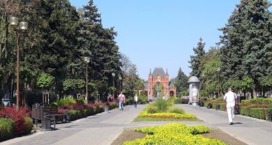 Выяснилось, почему сейчас мало цветов в парках и на бульварах Краснодара
