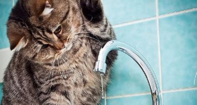 На две недели отключат горячую воду в ЮМР начиная с завтрашнего дня