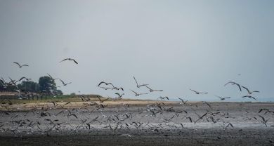 Уровень воды в Краснодарском водохранилище вышел из «мертвой зоны»