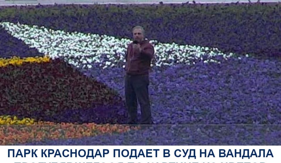 Парк Краснодар подает в суд на вандала, прогулявшегося по картине из цветов