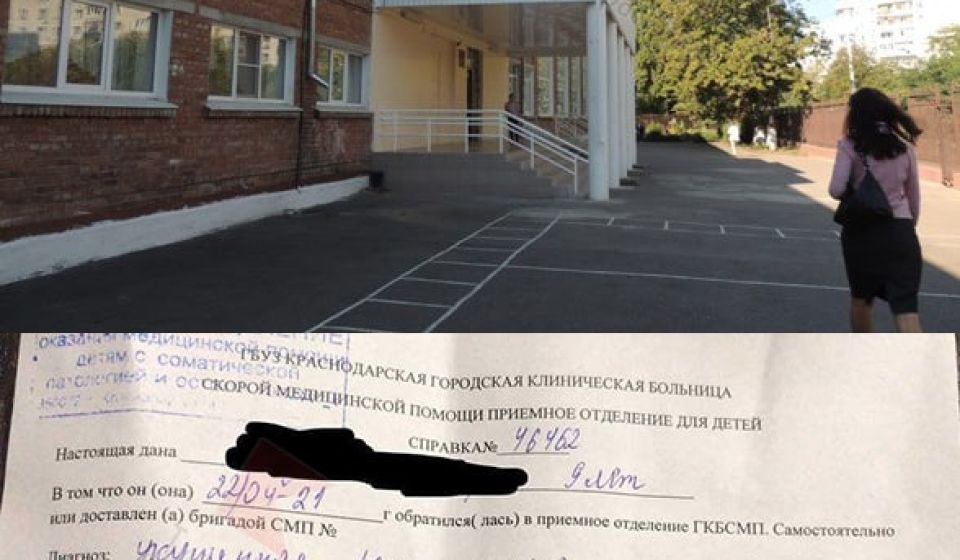 Девятилетнюю девочку покусала собака на территории школы в Краснодаре