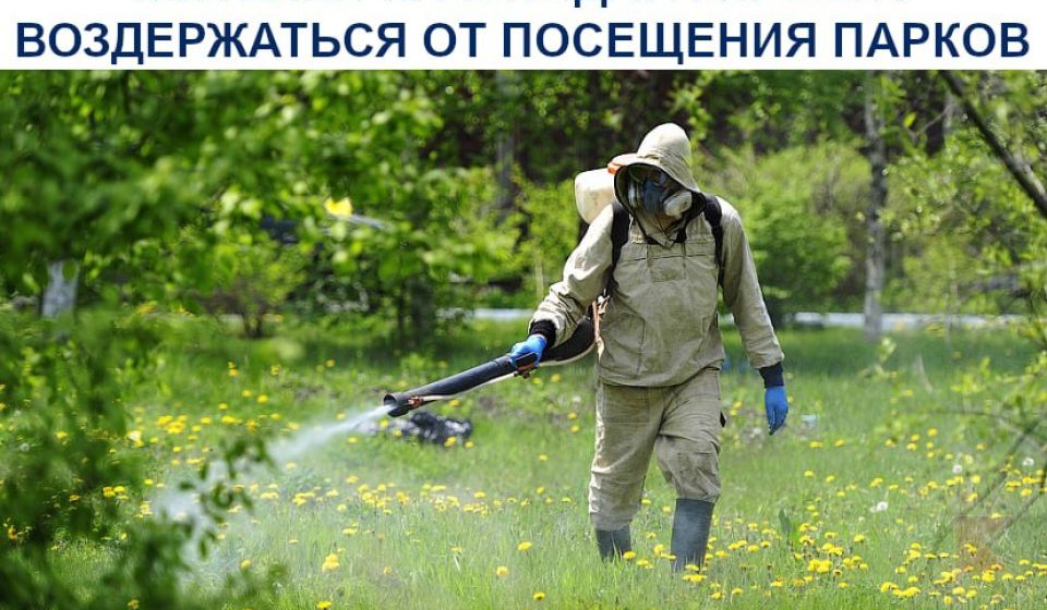 Жителей Краснодара просят не ходить в парки