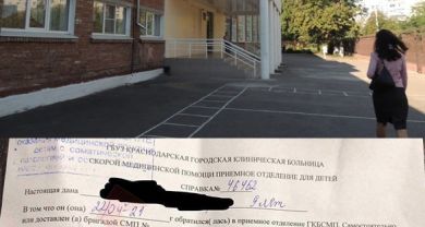 Девятилетнюю девочку покусала собака на территории школы в Краснодаре