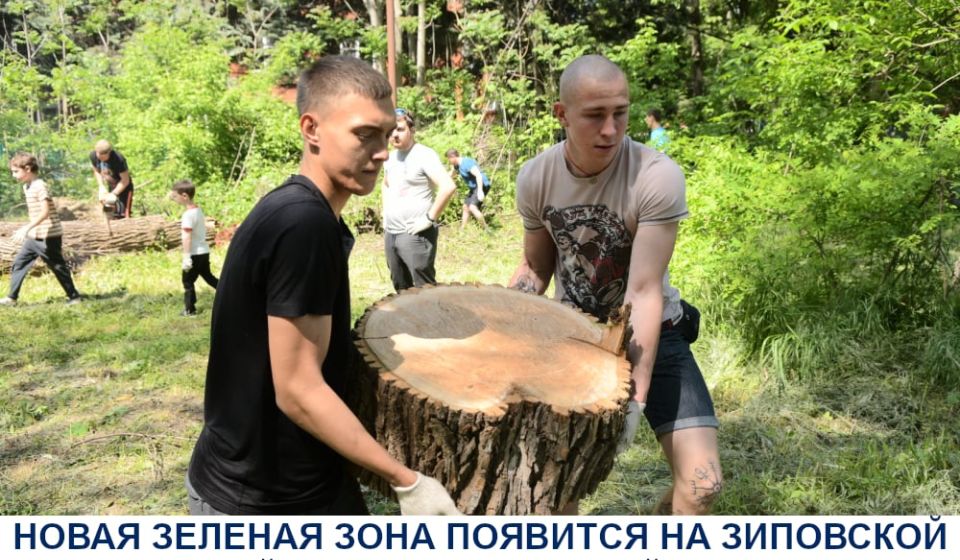 На Зиповской в районе Чистяковской рощи появится новая зеленая зона