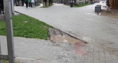 Автомобилисты очень любят скверы, но скверы не очень любят автомобилистов