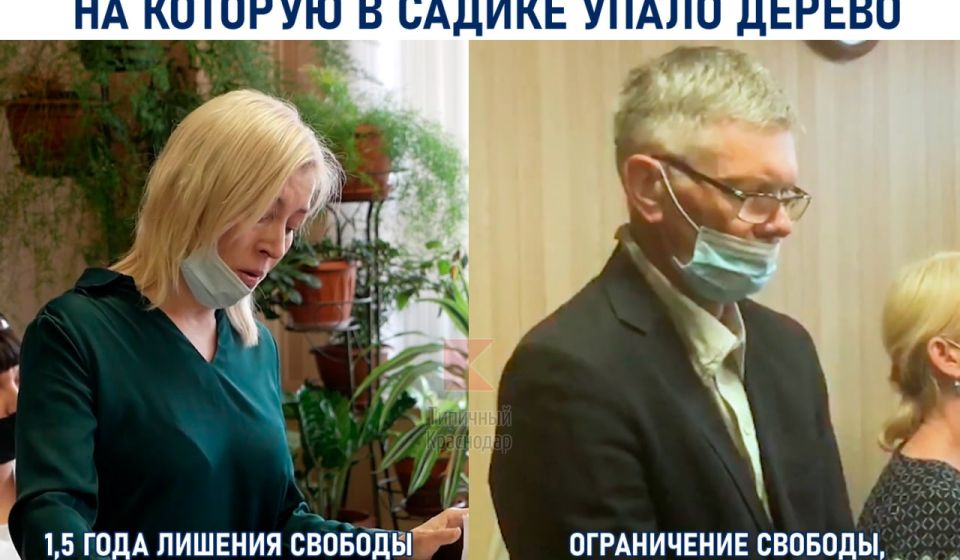 Осуждены заведующая детского сада и чиновник мэрии по делу о смерти двухлетней девочки, на которую в садике упало дерево