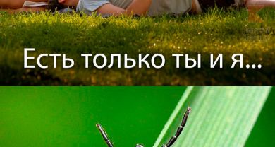 На Кубани 621 человек пострадал от укусов клещей. Это на 18% больше, чем в прошлом году