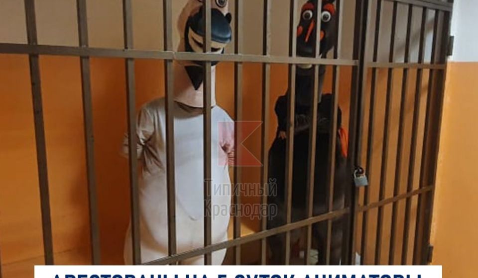 В Сочи задержаны кони-аниматоры, вымогавшие деньги у отдыхающих