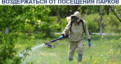 Жителей Краснодара просят не ходить в парки