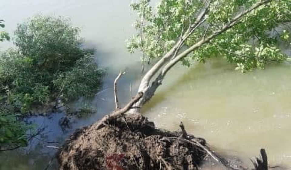 Так сейчас выглядит Рождественский парк в ЮМР